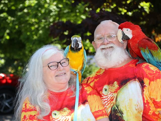 Spider, 66, and Anne Spider-McKeown, 64, from Birmingham, go about their daily routine with two parrots Charlie a green-winged Macaw and Chester, a blue-and-gold Macaw. May 19, 2024. 