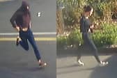 The man on the left ran from the scene empty-handed, while the woman on the right was in the area at the time and may be able to help police.