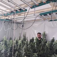 Man arrested as police uncover large cannabis farm in North Derbyshire house