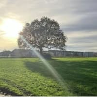 Green light for installation of solar farm  to power Chesterfield Royal Hospital