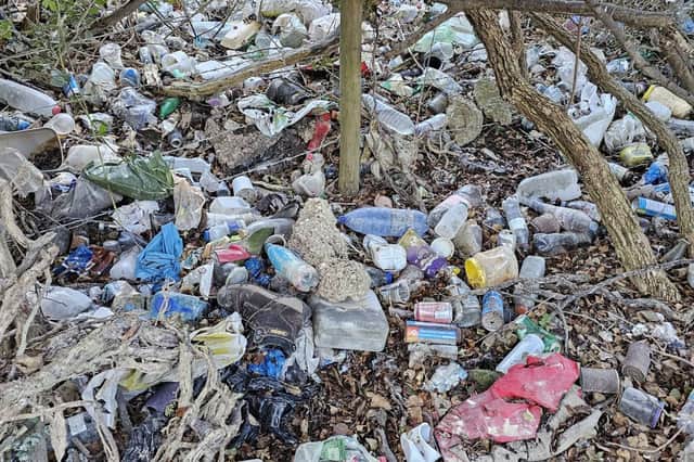 Lee and two other CLP members collected almost 2,000 kg of rubbish in 24hiurs.