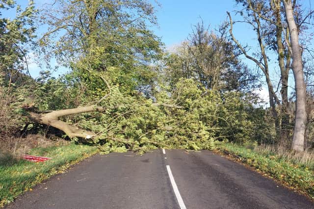 Strong winds saw a number of trees fall into roads across Derbyshire and the Peak District