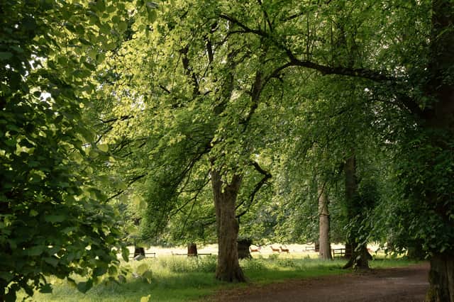 Look at wonderful wildlife on the Chatsworth Estate.