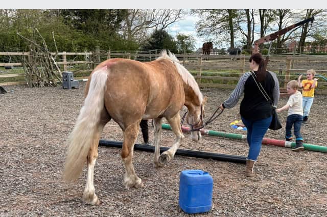 Dreams and Wonders Wellness Centre offer a range of sessions, designed specifically for children with special educational needs.