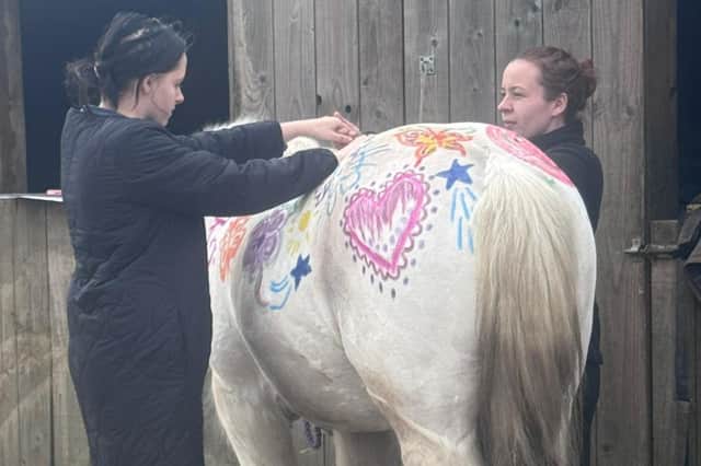 A pony painting session at Dreams and Wonders Wellness Centre in Clay Cross.