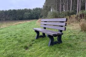 TDP Peak Bench