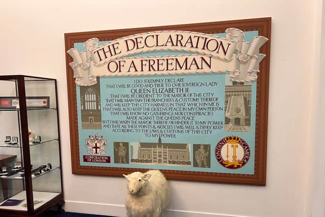 Declaration of a Freeman