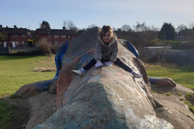 Image provided by South Normanton resident Hannah Hall