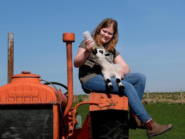 This location for a family fun day out has now re-opened. The animal barns are under a one way system and the indoor playbarn is closed. There will also be no petting or feeding the animals currently.