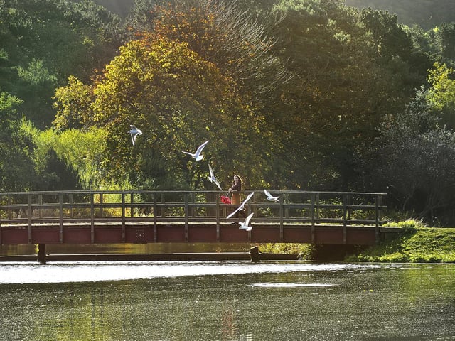 The Mere, Scarborough offers a great alternative to the beach