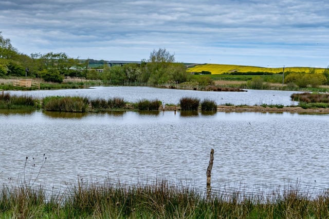 Filey Dams Nature Reserve makes a perfect escape for nature lovers