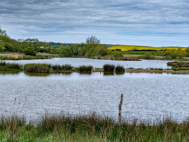 Filey Dams Nature Reserve makes a perfect escape for nature lovers