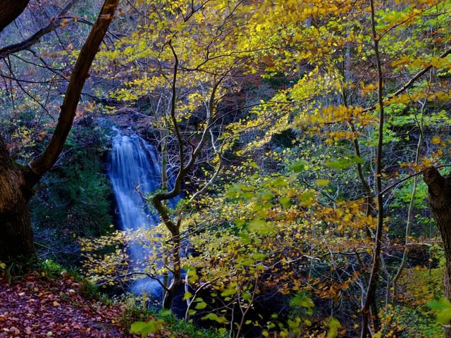 Falling Foss - A woodland walk and a picnic by a waterfall, what better way to spend a hot summer's day?