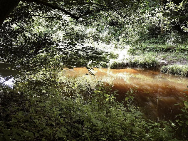 The Forge Valley Boardwalk offers a pleasant walk and the occasional seat by the river to enjoy your lunch.