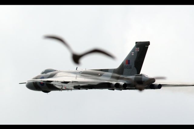 Those pesky seagulls again, this time getting in on the act with the mighty Vulcan