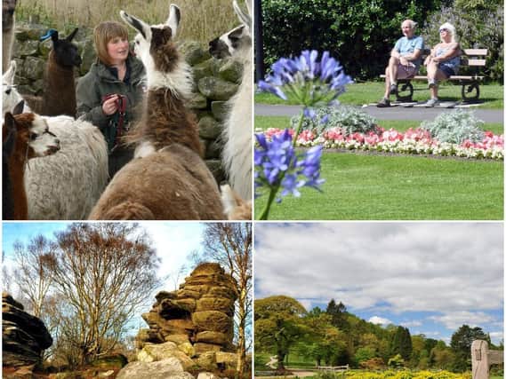Here are ten things to do in the Harrogate district when it's hot, according to Trip Advisor.
