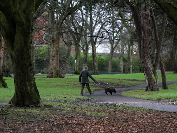 Do you know the rules about where dogs need to be kept on leads around Preston?