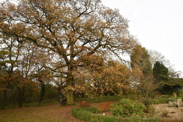 There is now a Tree Preservation Order covering the site and its grounds are located within the Green Belt.