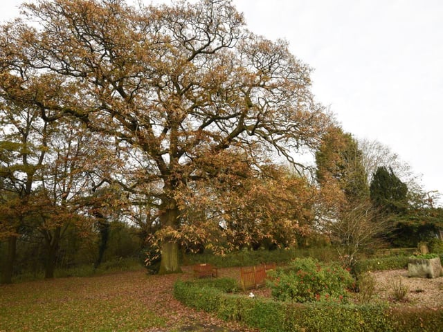 There is now a Tree Preservation Order covering the site and its grounds are located within the Green Belt.