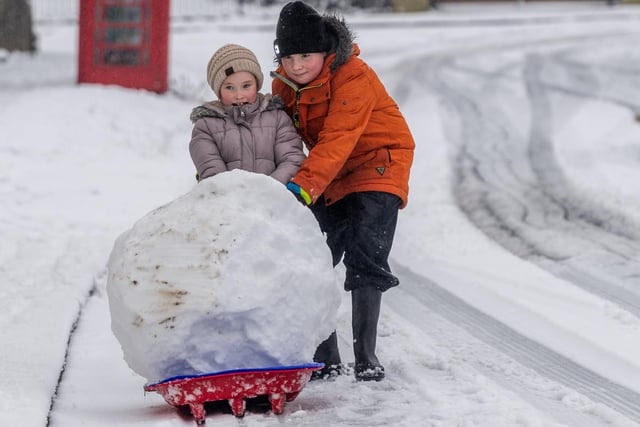 Freya Hardisty, aged seven, and brother Oliver, aged 11, pulled a massive snowball back home for their snowman on a couple of plastic sledges in the village of Stutton near Tadcaster, North Yorkshire.