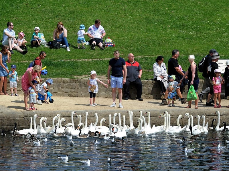 Roundhay in north Leeds is a desirable suburb for families to move to due to its close proximity to the beautiful Roundhay Park, Tropical World and good amenities. Street Lane provides several pubs, supermarkets and independent shops, restaurants and takeaways. It has several primary schools and the nearest high schools are Roundhay School and Allerton Grange School. There is not a railway station in Roundhay but it is served by the number 2 bus via Chapel Allerton and the number 12 bus via Harehills into Leeds.  They come every 10 minutes during the week and every 30 minutes on a Sunday.
