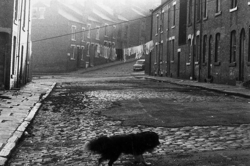Woodhouse in 1970. In view is Duxbury Place looking south-west towards the junction with Hawkins Place, leading off to the left, and Livinia Street, continuing up the hill. These cobbled streets of terraced housing were soon to be demolished as part of a major clearance of the area.