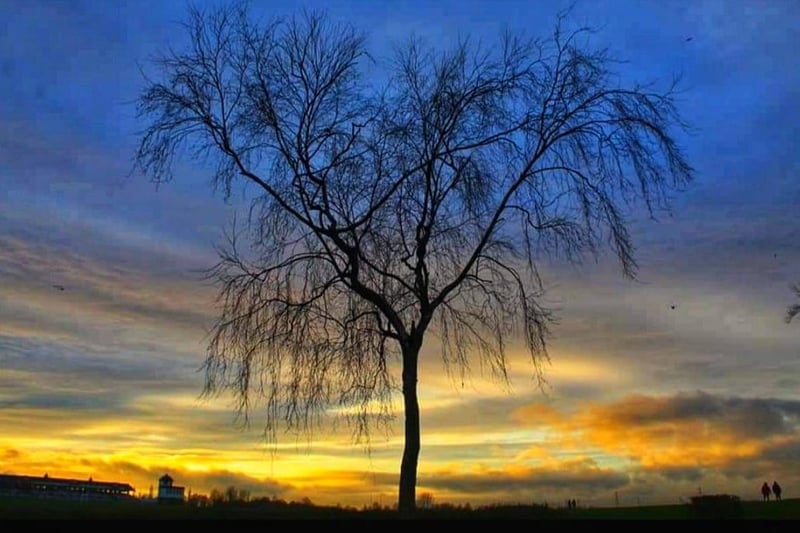 Sean Patrick Boyle also made the most of the changing weather for this gorgeous photo of a tree towering over Pontefract Park.