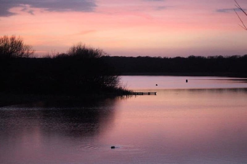 Nichola Sewell said: "Sunset at Wintersett... Beautiful pink sky reflecting on the water below as a lone Coot made ripples in the reservoir."