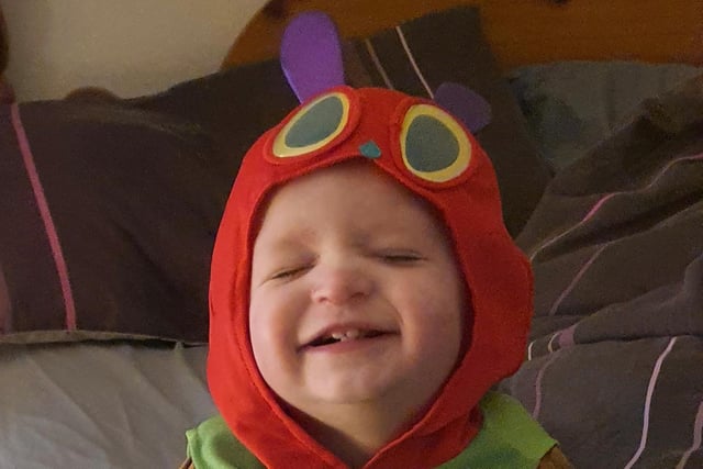 Theo Batsford (aged one) dressed up as the Hungry Caterpillar