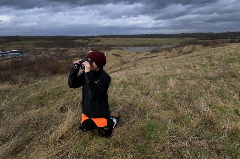 Sophie Pinder from the Yorkshire Wildlife Trust is pictured Rabbit Ings Country Park, Barnsley. The former pit sit is a natural habitat for the fast declining bird the Willow Tit. (photo: Simon Hulme)