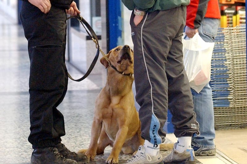 This is sniffer dog Toby on patrol at the Cross Gates Shopping Centre in March 2004.