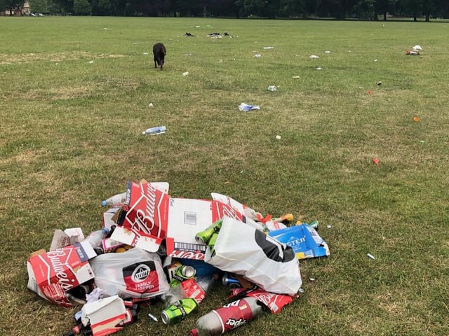 Empty beer boxes left in Abington Park.