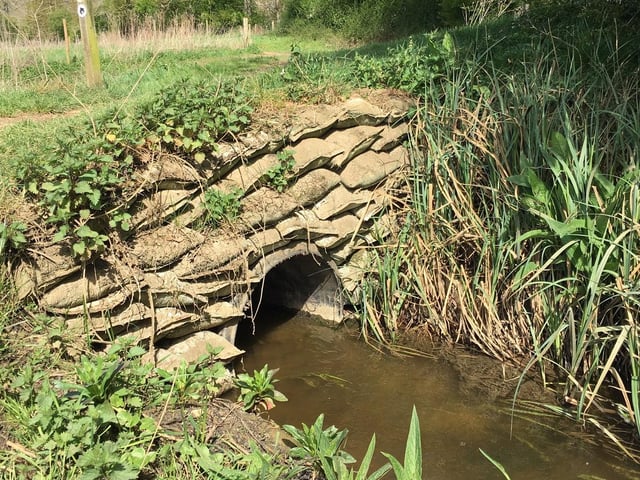 Ali Jones, Nassington walk