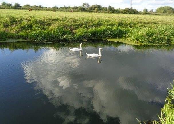 Carol Macfarlane reflections in Stanground Lock