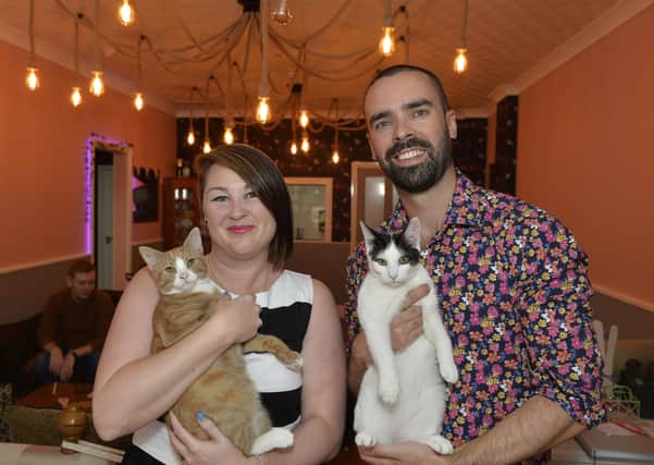 Mad Catter Cafe owners Lucy Allen and Sam Firman (Photo by Jon Rigby)