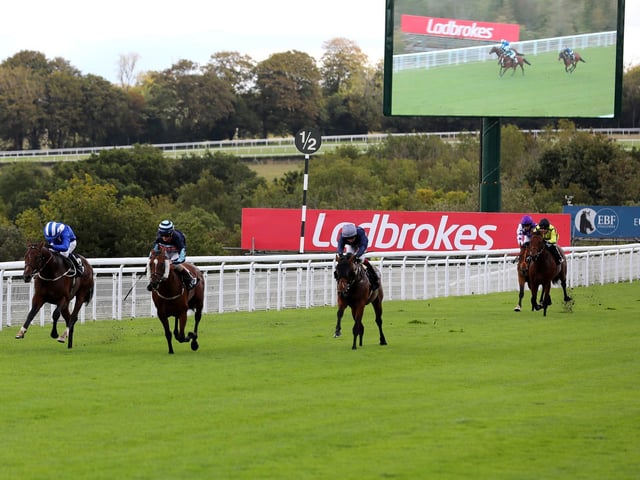 The Chichester Observer Nursery Handicap at Goodwood / Pictures by Sam Stephenson for Goodwood