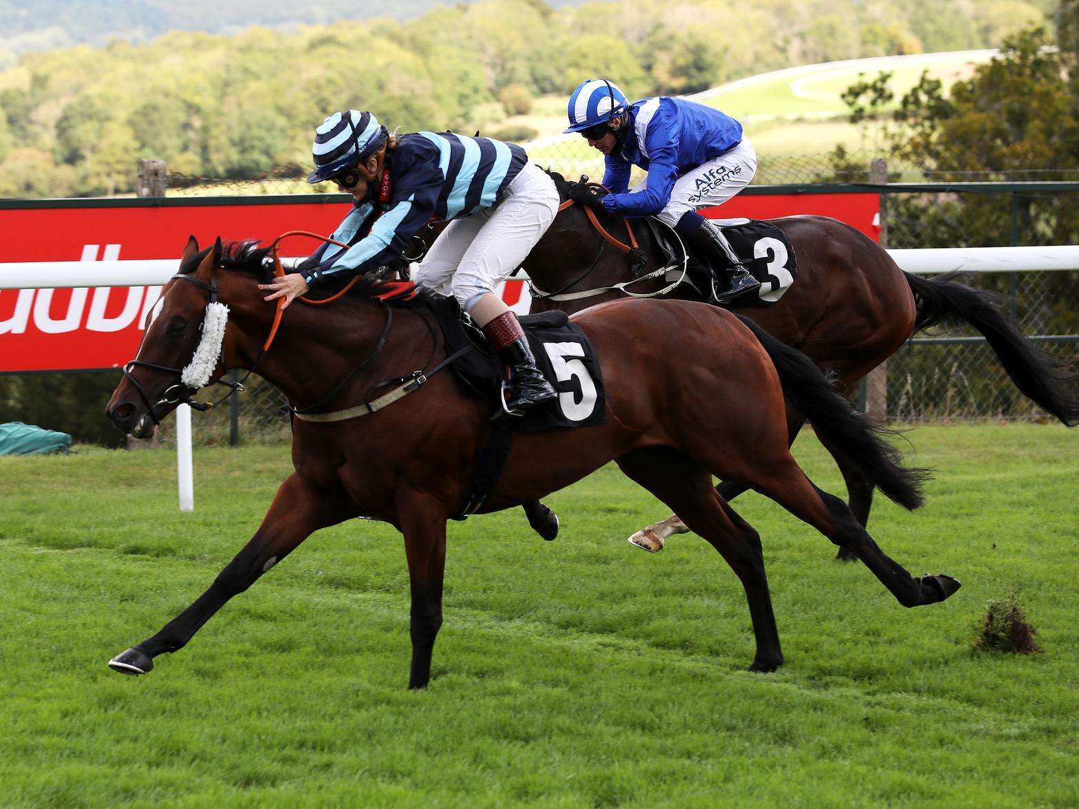 The Chichester Observer Nursery Handicap at Goodwood / Pictures by Sam Stephenson for Goodwood