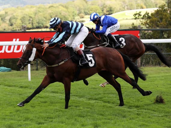 The Chichester Observer Nursery Handicap at Goodwood / Pictures by Sam Stephenson for Goodwood