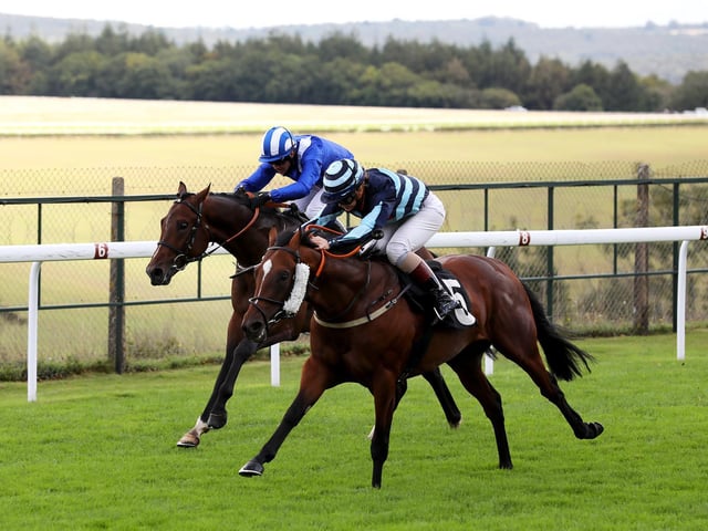 The Chichester Observer Nursery Handicap at Goodwood / Pictures by Sam Stephenson for Goodwood