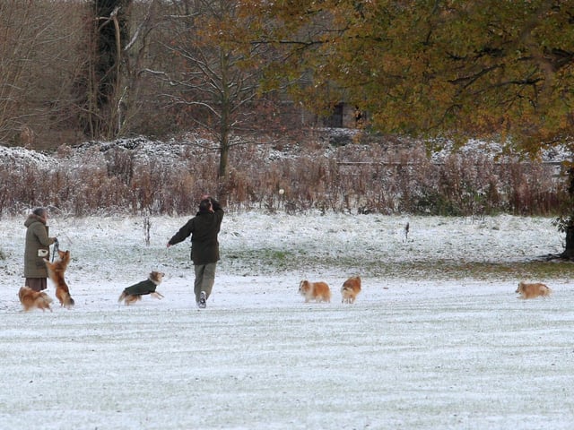 A couple walk their dogs in the grounds of Delapre Abbey