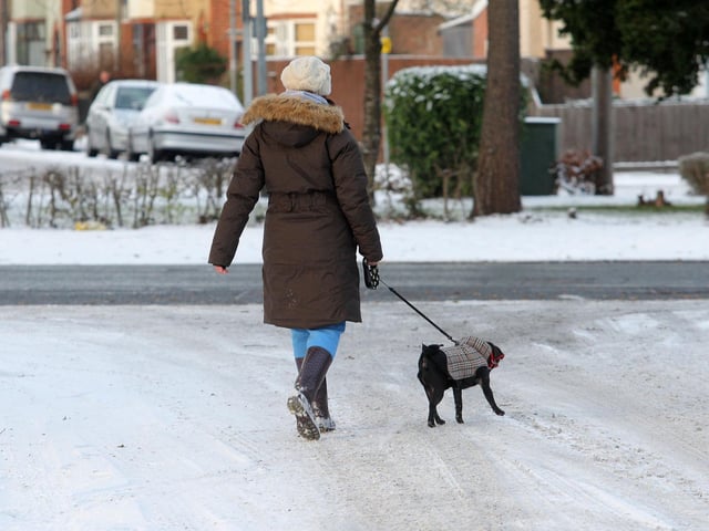 Another dog walker by Delapre Abbey