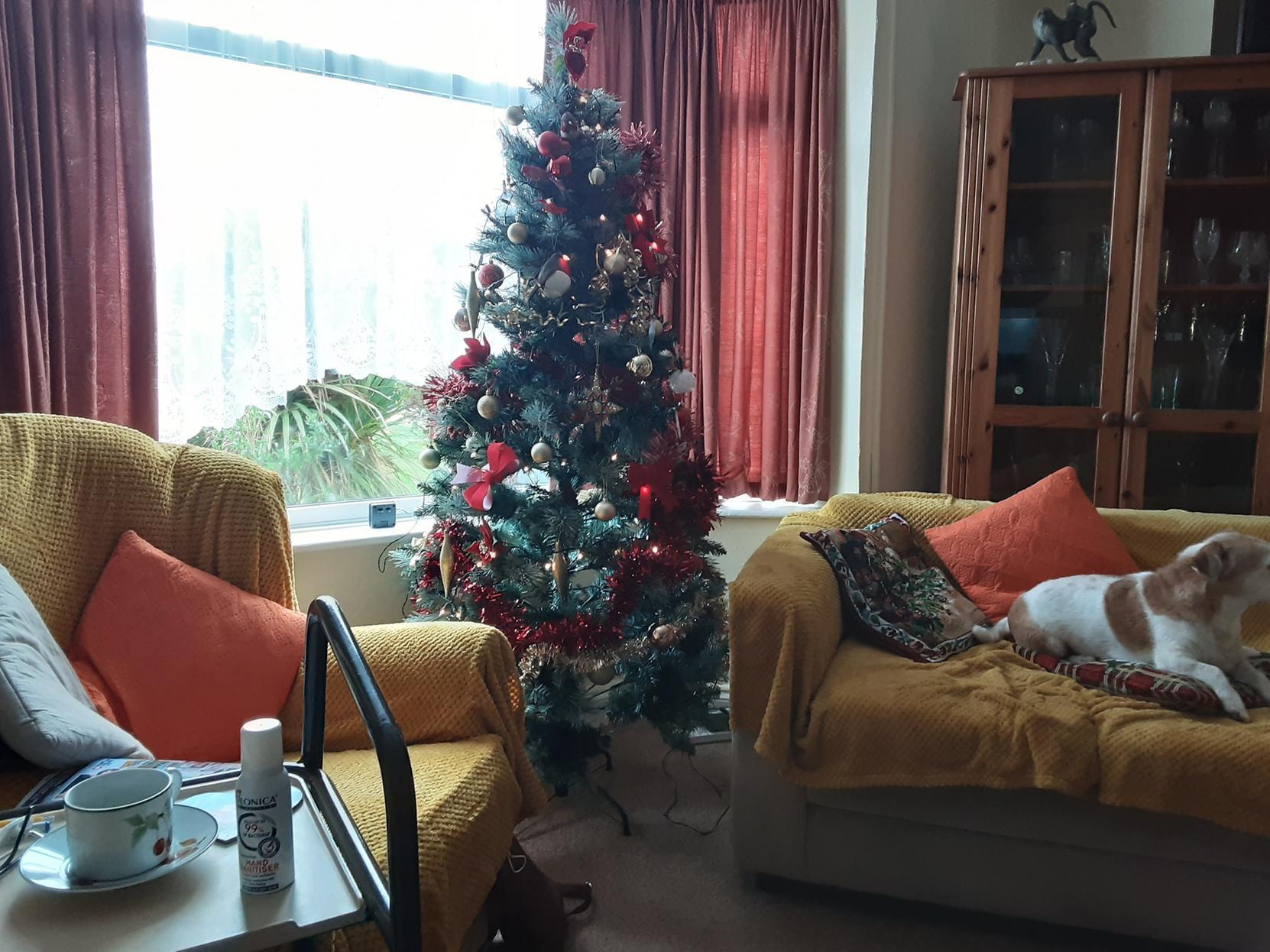 Sarah Chalk's 81-year-old mother has put her Christmas decorations up already