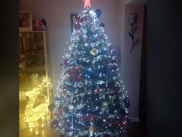 Julie Butler in Crawley sent in this picture of her tree