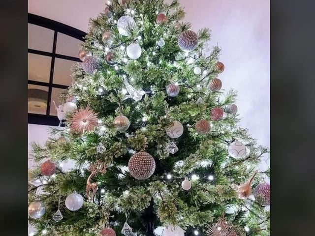 Emma Page from Worthing sent in a picture of her beautiful tree - here is a snapshot of it