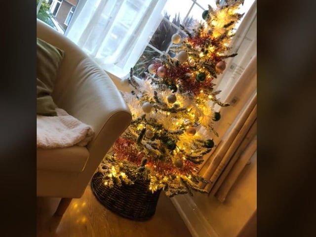 Set in the window, let's hope Rachel Williams' tree in Worthing brings festive joy to those who pass her home