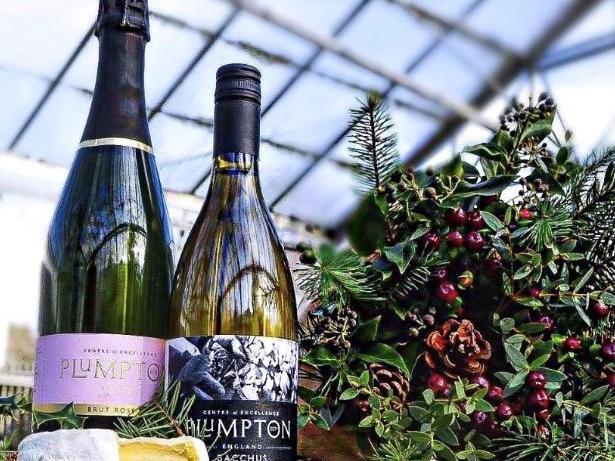 The Plumpton Christmas hamper includes locally produced, award winning wine and cheese paired with a magnificent Christmas bouquet, prepared by Plumpton florists - 60. You can also buy bottles of wine.