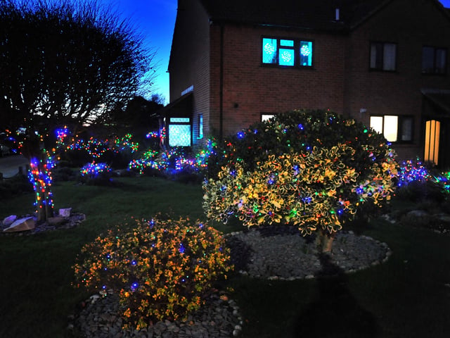 Dinsdale Gardens, Rustington. Pic Steve Robards SR2012093