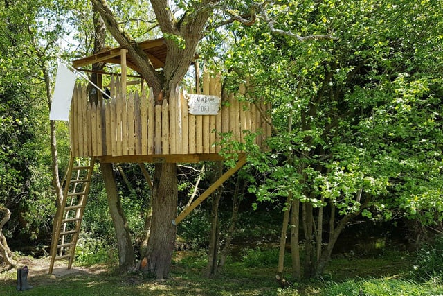 Agricultural worker John Walsh, 60, from Shrewsbury came second with the tree fort he made for his grandchildren