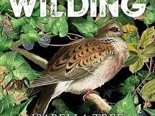 Wildling tells the story of the Knepp experiement a pioneering rewilding project.