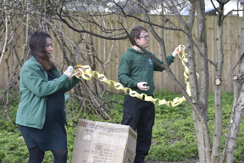 Woodston primary school hanging yellow paper chains around  trees on the school field to remember one year since the first Covid 19 lockdown. Craig Phillips and Sharon Davey EMN-210323-153233009
